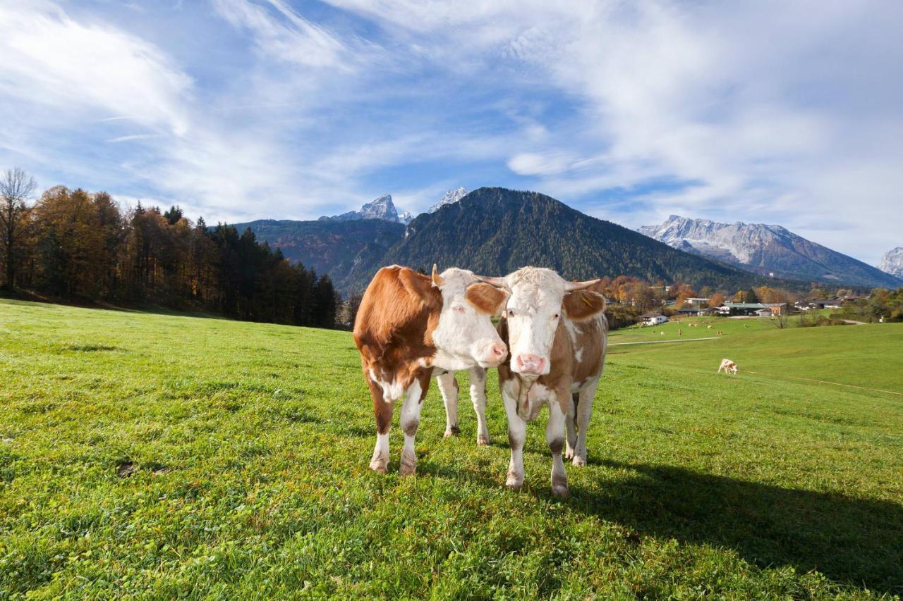 Gaestehaus Untersulzberglehen Schoenau am Koenigsee Ngoại thất bức ảnh